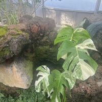 評論圖片 5