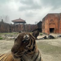 評論圖片 1