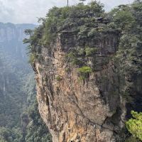 評論圖片 6