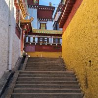 評論圖片 5