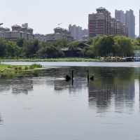 評論圖片 5