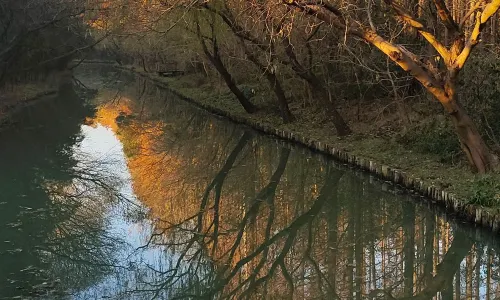 Tongli National Wetland Park