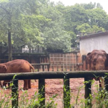 評論圖片 4