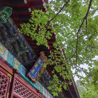 評論圖片 1
