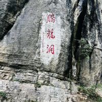 評論圖片 8