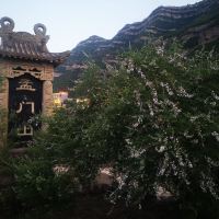 評論圖片 9