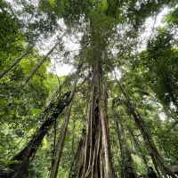 評論圖片 6