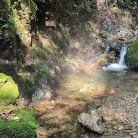 評論圖片 2