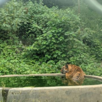 評論圖片 1
