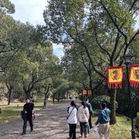 評論圖片 9