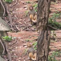 評論圖片 5