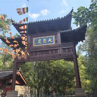 評論圖片 1