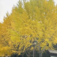 評論圖片 3