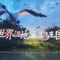 評論圖片 2