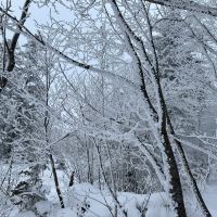 評論圖片 8