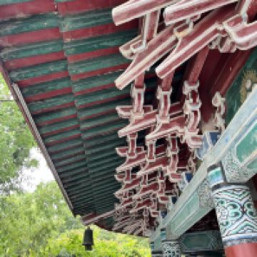 評論圖片 2