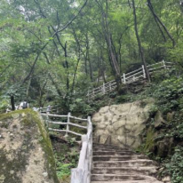 評論圖片 4