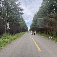 評論圖片 5