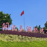 評論圖片 9