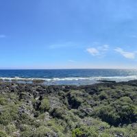 評論圖片 2