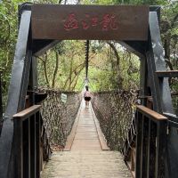 評論圖片 7