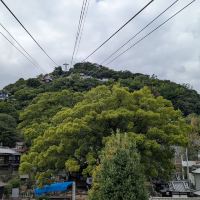 評論圖片 2