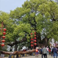 評論圖片 4