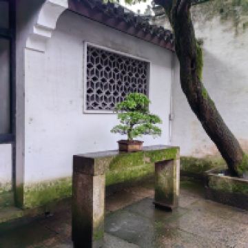 評論圖片 2