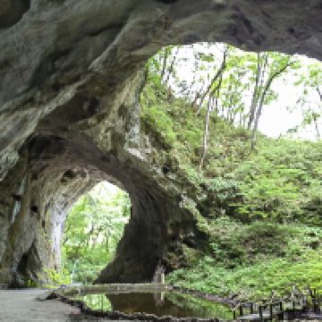 評論圖片 5