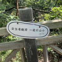 評論圖片 8