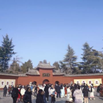 評論圖片 3