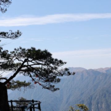 評論圖片 1