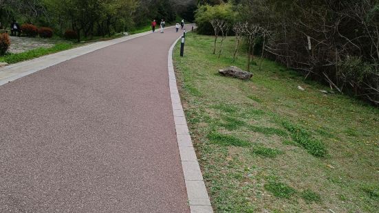 地方很大，走了大概四个小时都没走完。景点相对来说还是山下入口