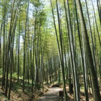 評論圖片 4