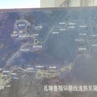 評論圖片 5