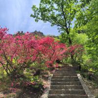 評論圖片 7