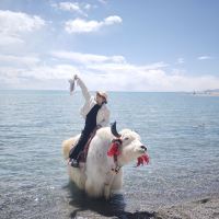 評論圖片 3