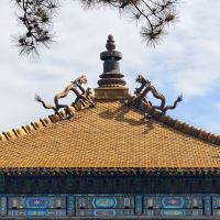 評論圖片 5