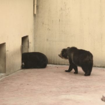 評論圖片 1