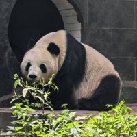 評論圖片 8