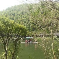 評論圖片 5