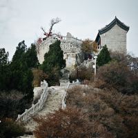 評論圖片 4