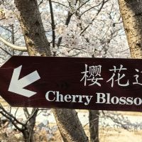 評論圖片 5