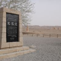 評論圖片 5