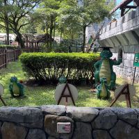 評論圖片 4