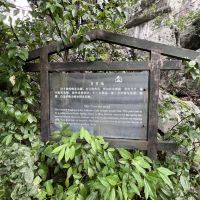 評論圖片 5