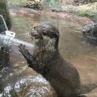 評論圖片 1