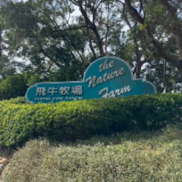 評論圖片 2