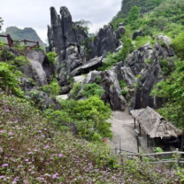 評論圖片 6