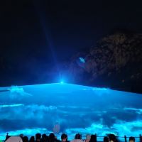 評論圖片 7